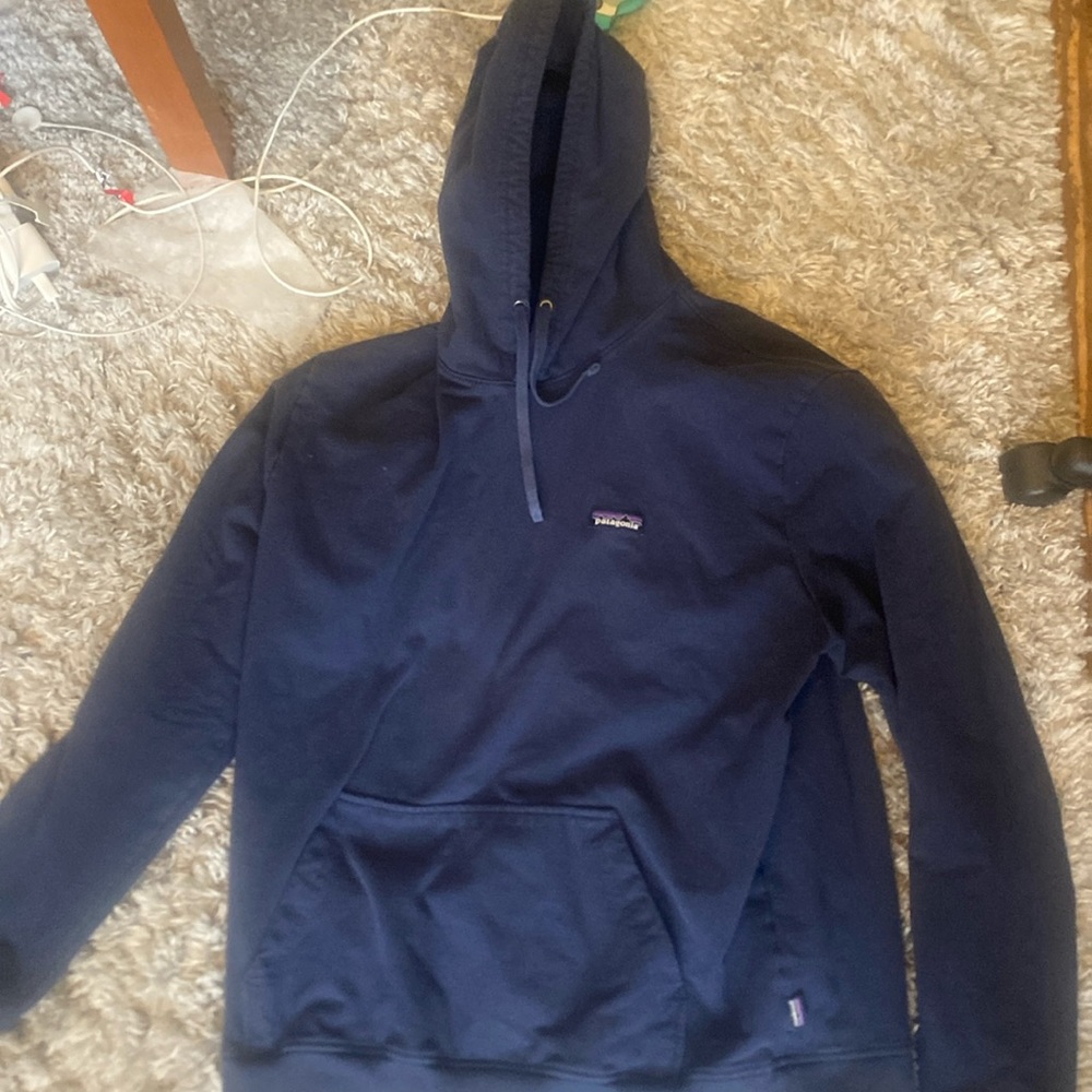 Patagonia Hoodie